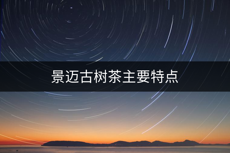 景邁古樹茶主要特點