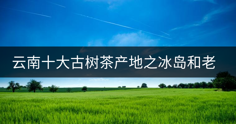云南十大古樹茶產(chǎn)地之冰島和老班章