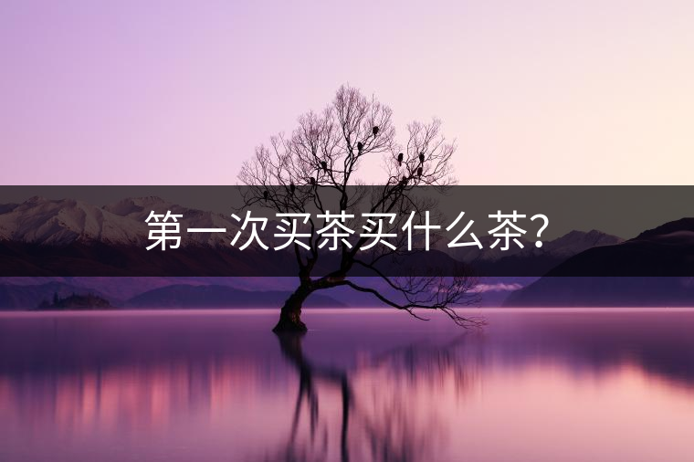 第一次買茶買什么茶？