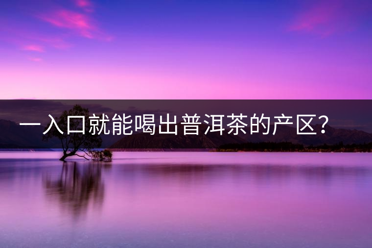 一入口就能喝出普洱茶的產(chǎn)區(qū)？怎么能不讀這篇文章呢？