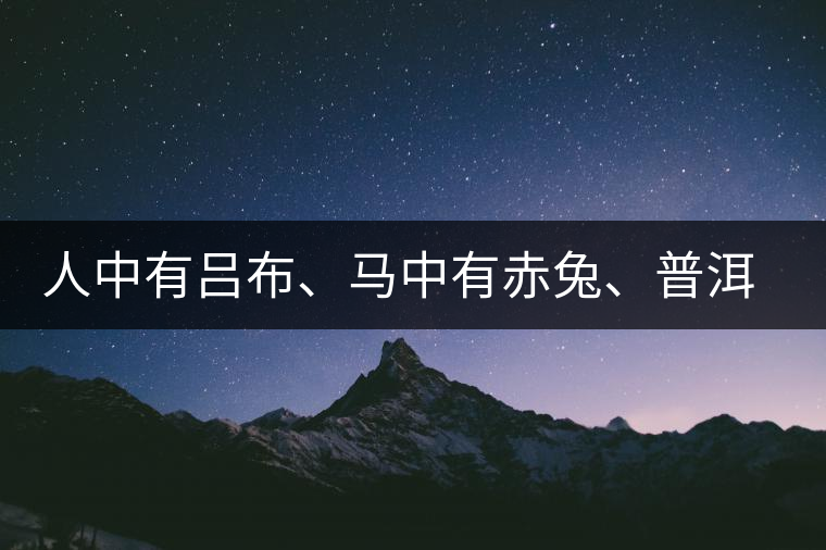 人中有呂布、馬中有赤兔、普洱中有茶化石：碎銀子！