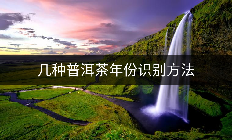 幾種普洱茶年份識別方法