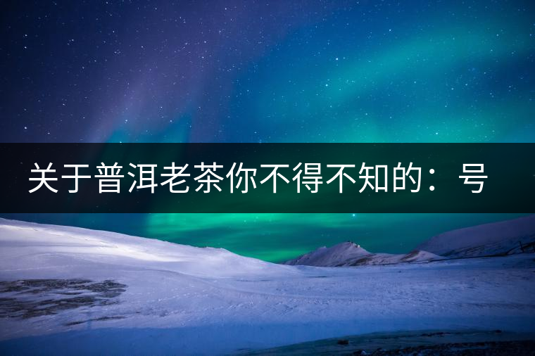 關(guān)于普洱老茶你不得不知的：號級茶、印級茶、七子餅茶