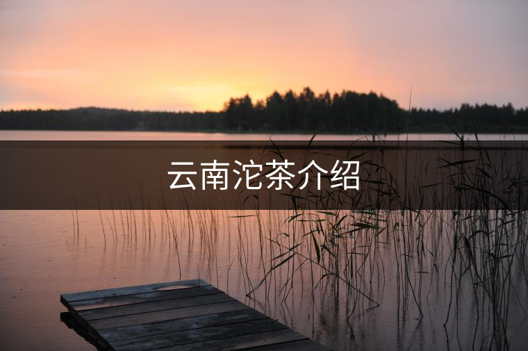 云南沱茶介紹