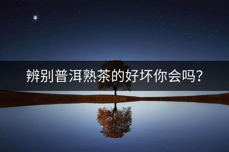 辨別普洱熟茶的好壞你會嗎？