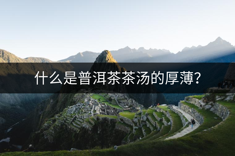 什么是普洱茶茶湯的厚薄？