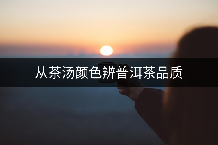 從茶湯顏色辨普洱茶品質(zhì)