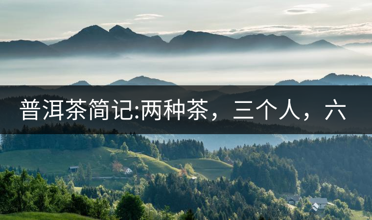 普洱茶簡(jiǎn)記:兩種茶，三個(gè)人，六座山，七塊餅