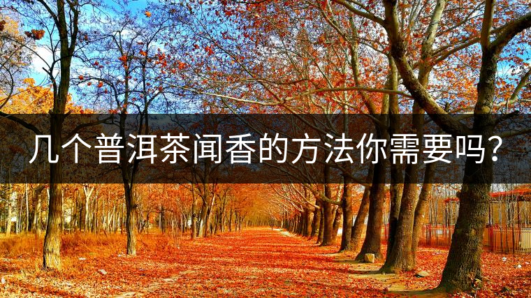 幾個(gè)普洱茶聞香的方法你需要嗎？