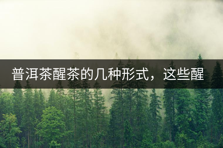 普洱茶醒茶的幾種形式，這些醒茶方法你都會了嗎？