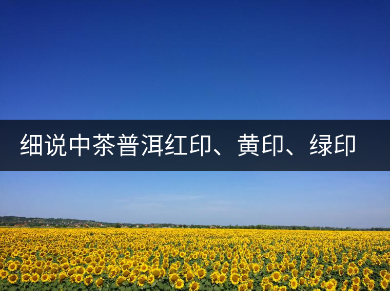 細(xì)說中茶普洱紅印、黃印、綠印、藍(lán)印的含義