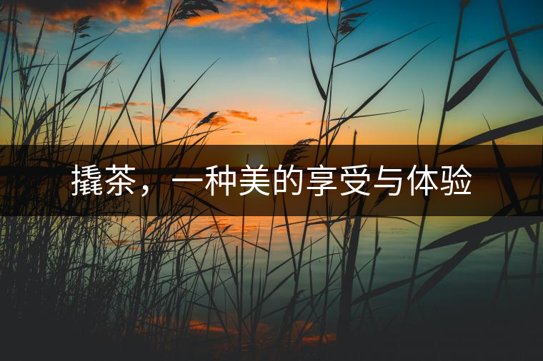 撬茶，一種美的享受與體驗(yàn)