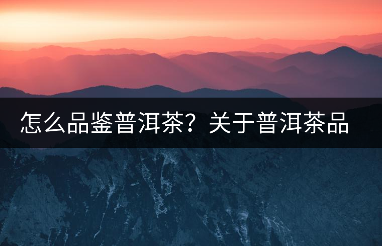 怎么品鑒普洱茶？關(guān)于普洱茶品評的三個(gè)詞