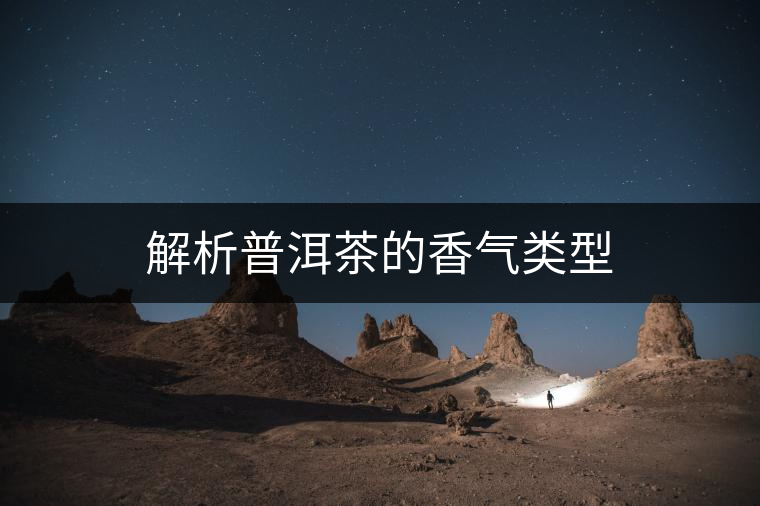 解析普洱茶的香氣類(lèi)型