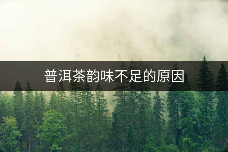 普洱茶韻味不足的原因