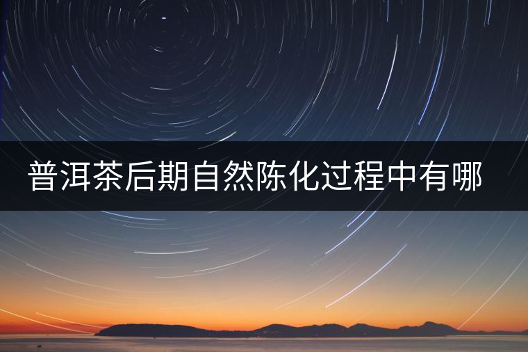 普洱茶后期自然陳化過程中有哪些變化？