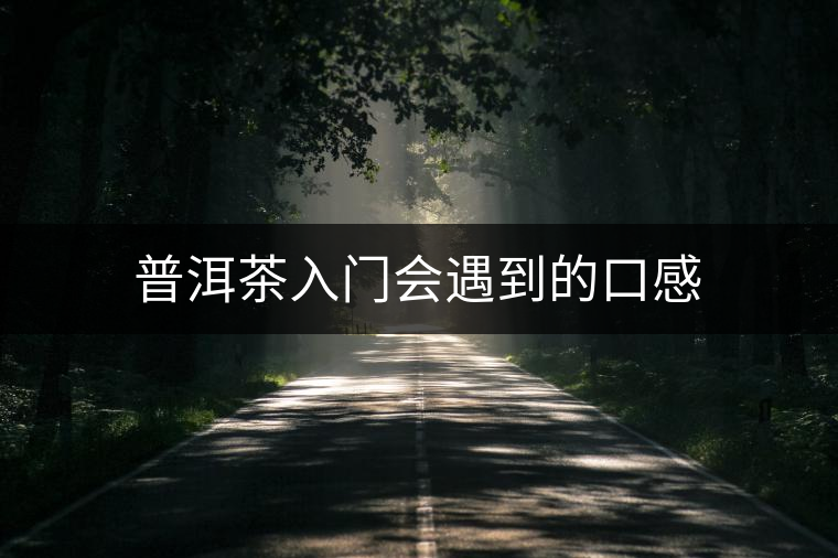 普洱茶入門(mén)會(huì)遇到的口感