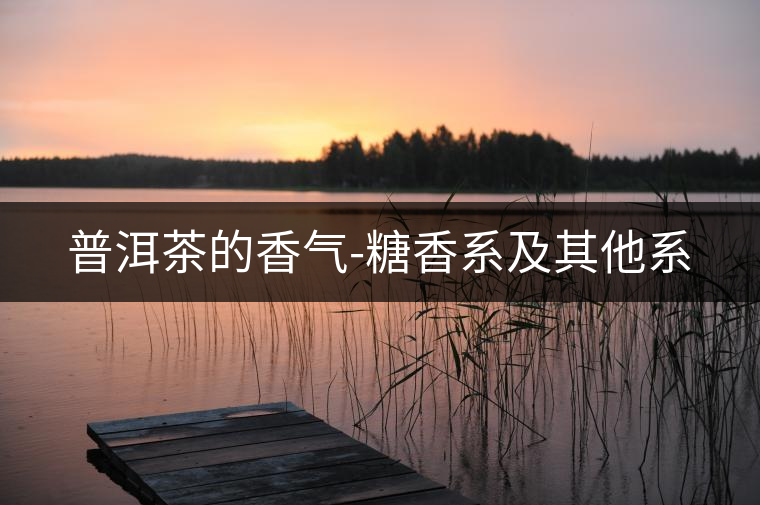 普洱茶的香氣-糖香系及其他系