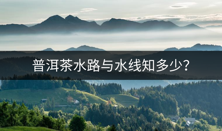 普洱茶水路與水線知多少？