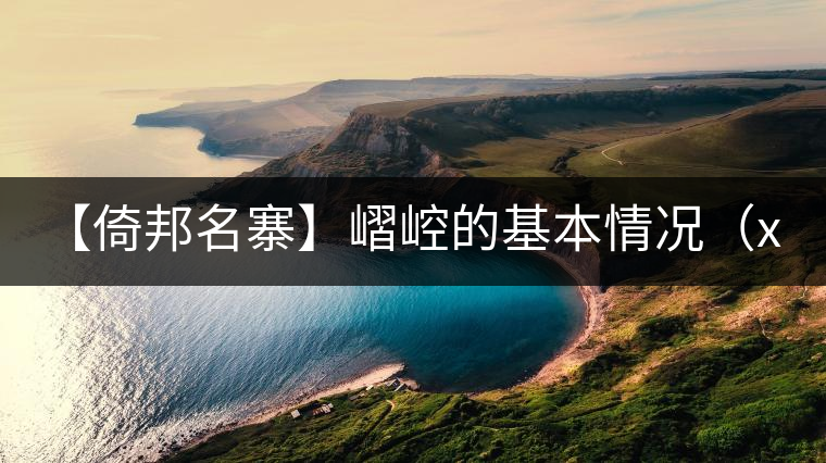 【倚邦名寨】嶍崆的基本情況(xi kong) 【倚邦名寨】嶍崆的基本情況(xi kong)