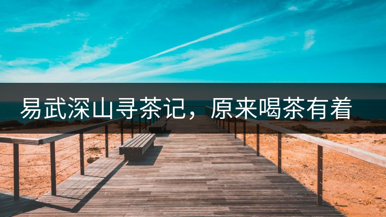 易武深山尋茶記，原來喝茶有著這么多誤區(qū)