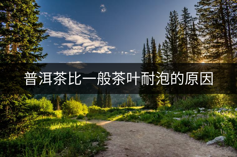普洱茶比一般茶葉耐泡的原因