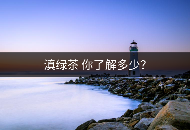 滇綠茶 你了解多少？