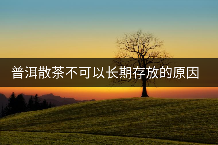 普洱散茶不可以長期存放的原因是什么？