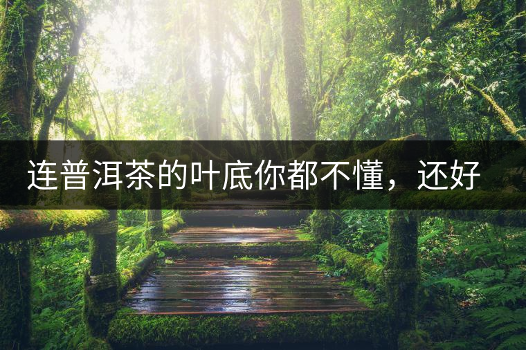 連普洱茶的葉底你都不懂，還好意思說懂茶么？