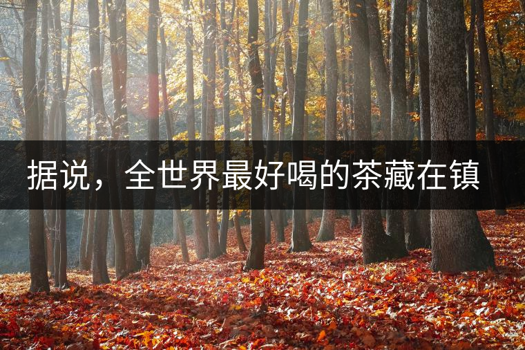 據說，全世界最好喝的茶藏在鎮(zhèn)沅