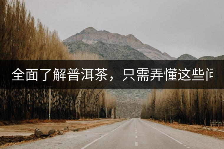 全面了解普洱茶，只需弄懂這些問題！