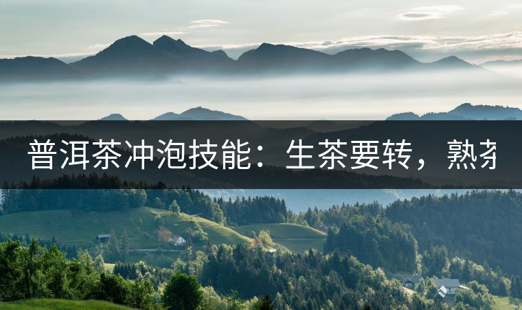 普洱茶沖泡技能：生茶要轉(zhuǎn)，熟茶要柔！