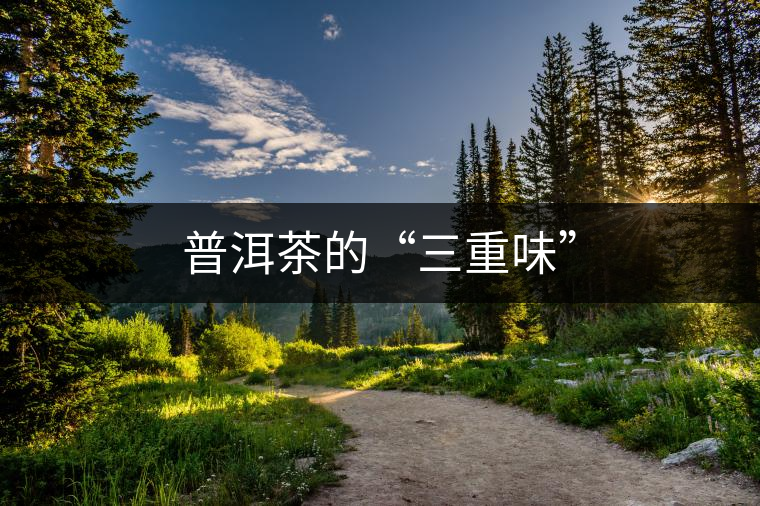普洱茶的“三重味”