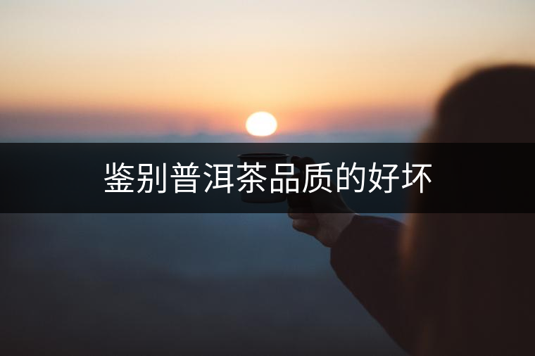 鑒別普洱茶品質的好壞 鑒別普洱茶品質的好壞