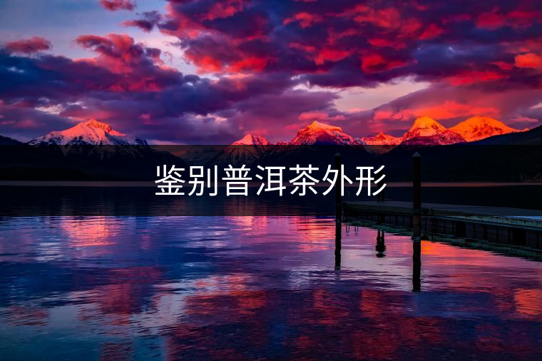 鑒別普洱茶外形
