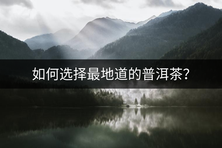 如何選擇最地道的普洱茶？