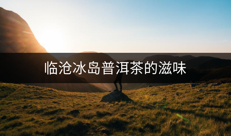 臨滄冰島普洱茶的滋味