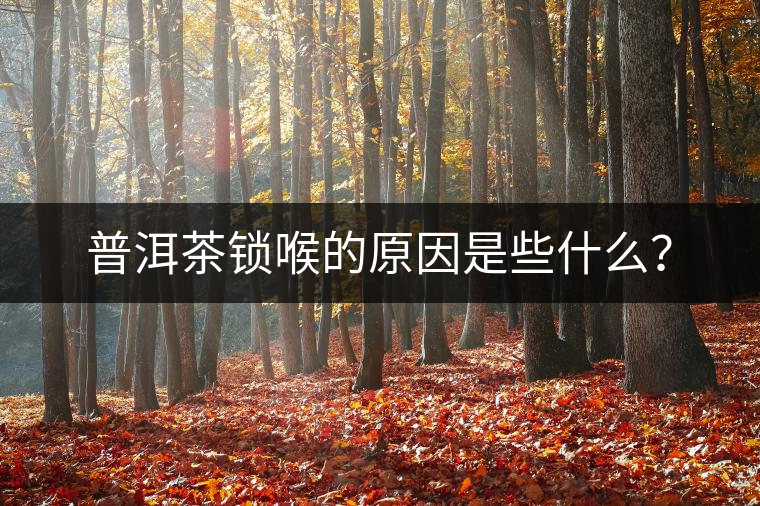 普洱茶鎖喉的原因是些什么？