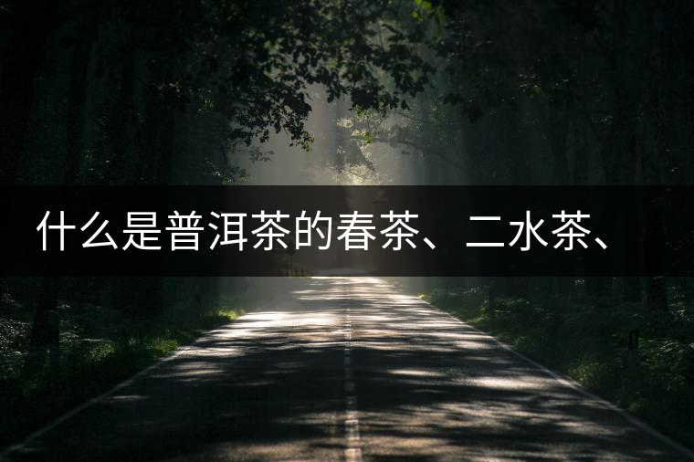 什么是普洱茶的春茶、二水茶、三水茶、四水茶