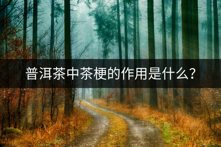 普洱茶中茶梗的作用是什么？