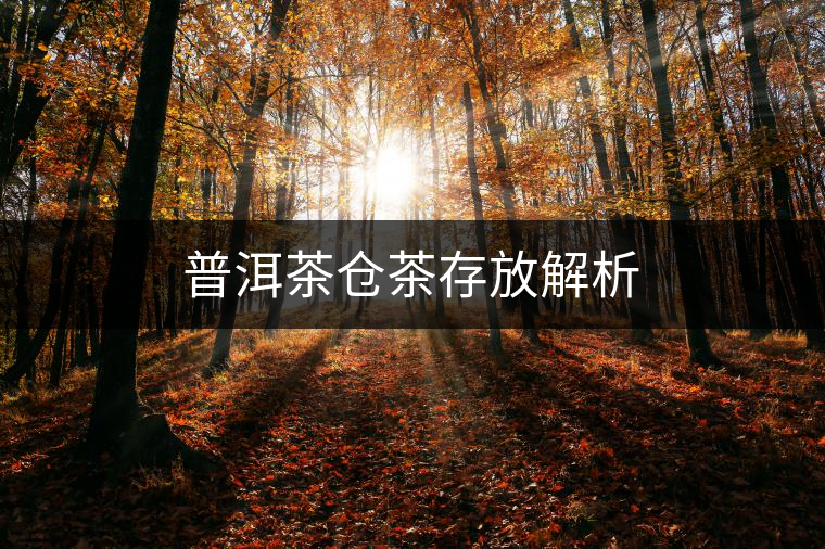 普洱茶倉茶存放解析