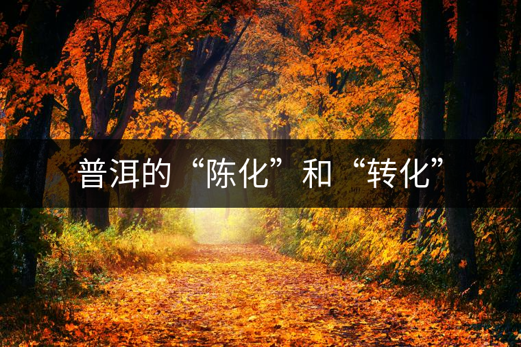 普洱的“陳化”和“轉化” 普洱的“陳化”和“轉化”
