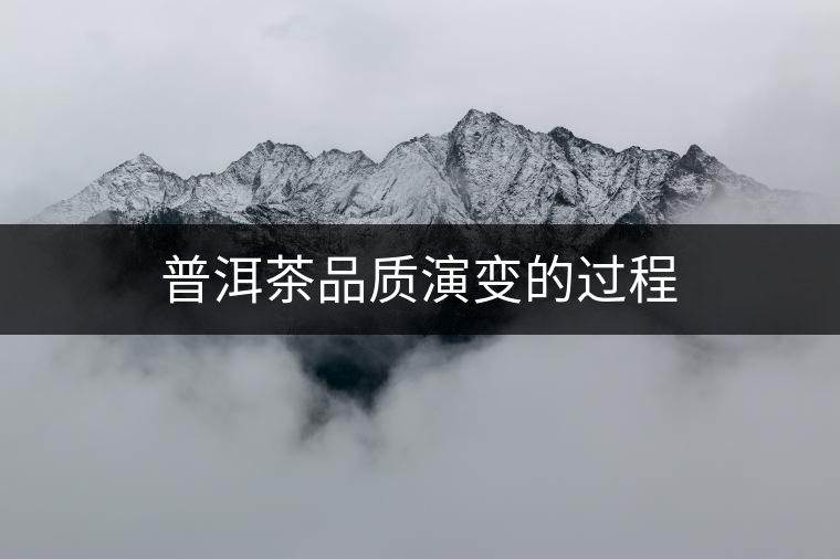 普洱茶品質(zhì)演變的過程
