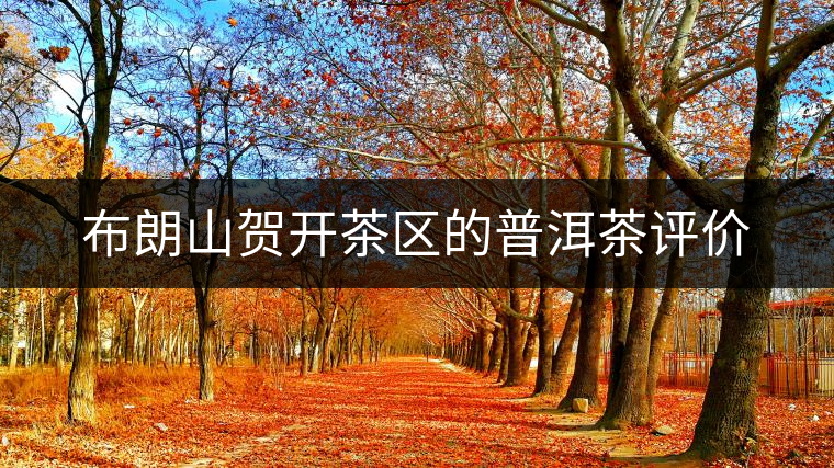 布朗山賀開茶區(qū)的普洱茶評價(jià)