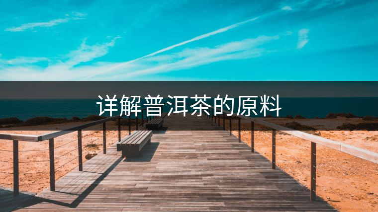 詳解普洱茶的原料