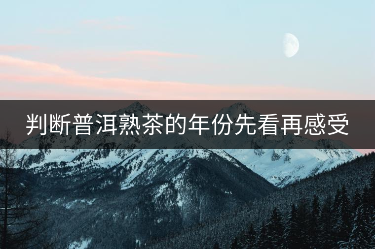 判斷普洱熟茶的年份先看再感受