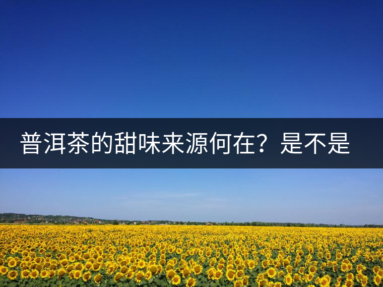 普洱茶的甜味來源何在？是不是茶湯中含糖？