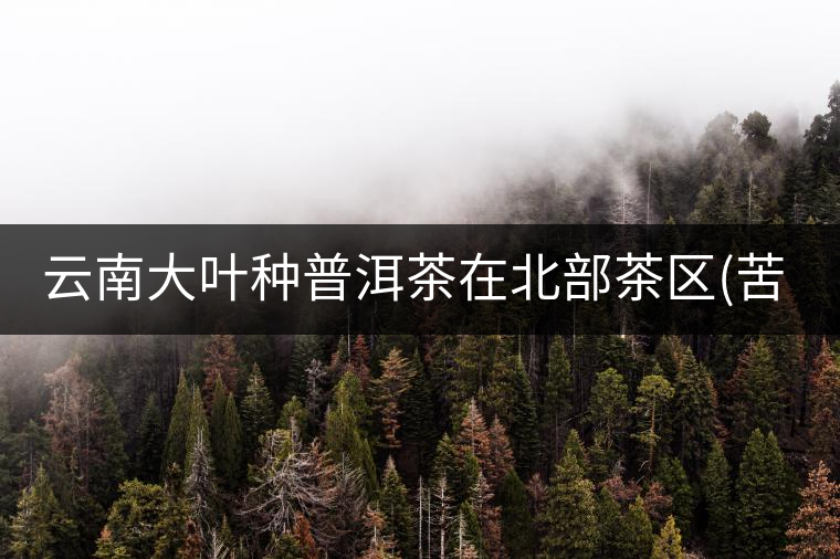 云南大葉種普洱茶在北部茶區(qū)(苦)