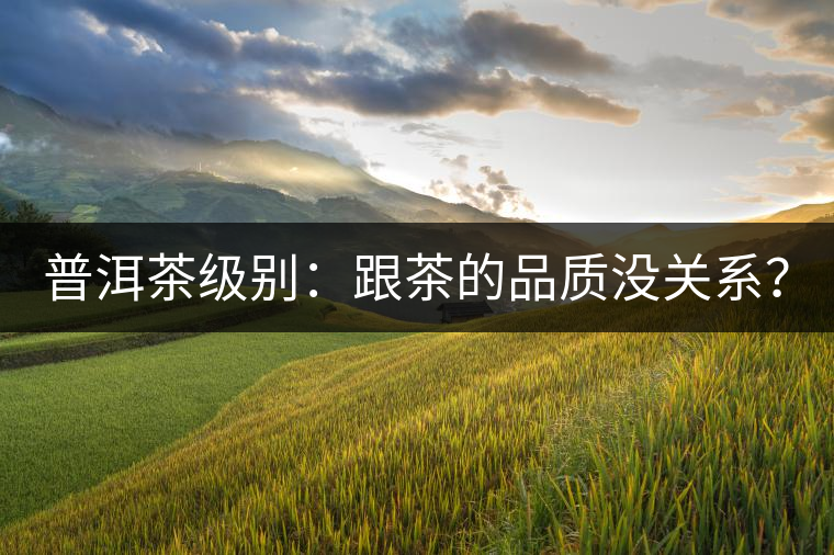 普洱茶級別：跟茶的品質(zhì)沒關(guān)系？