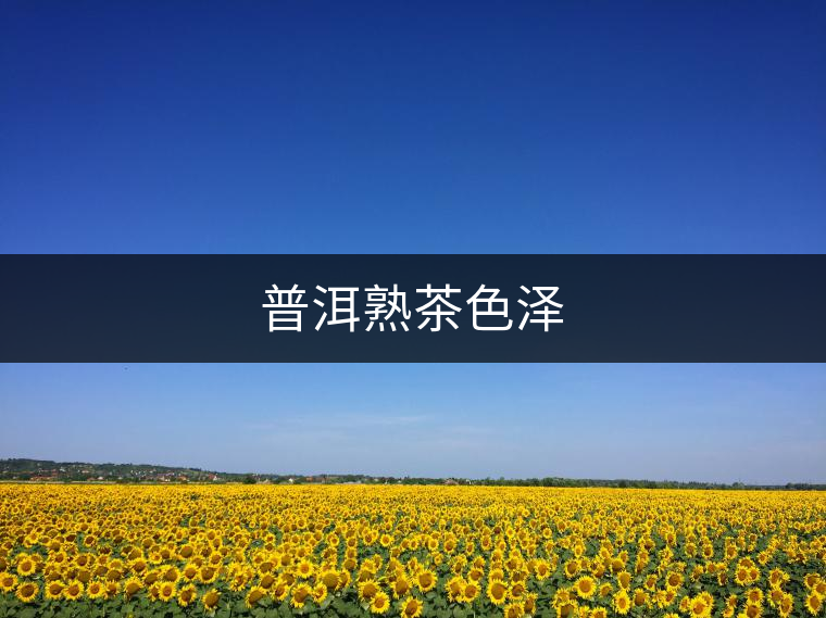 普洱熟茶色澤